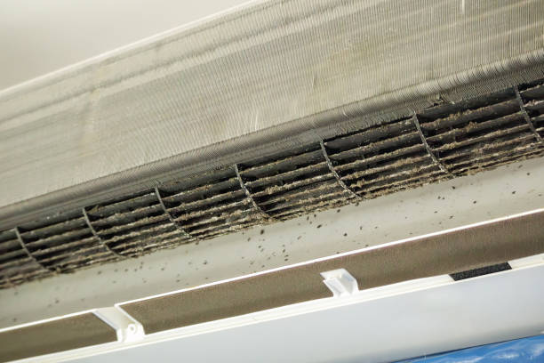 Best Best Air Duct Cleaning Company  in Mount Airy, MD